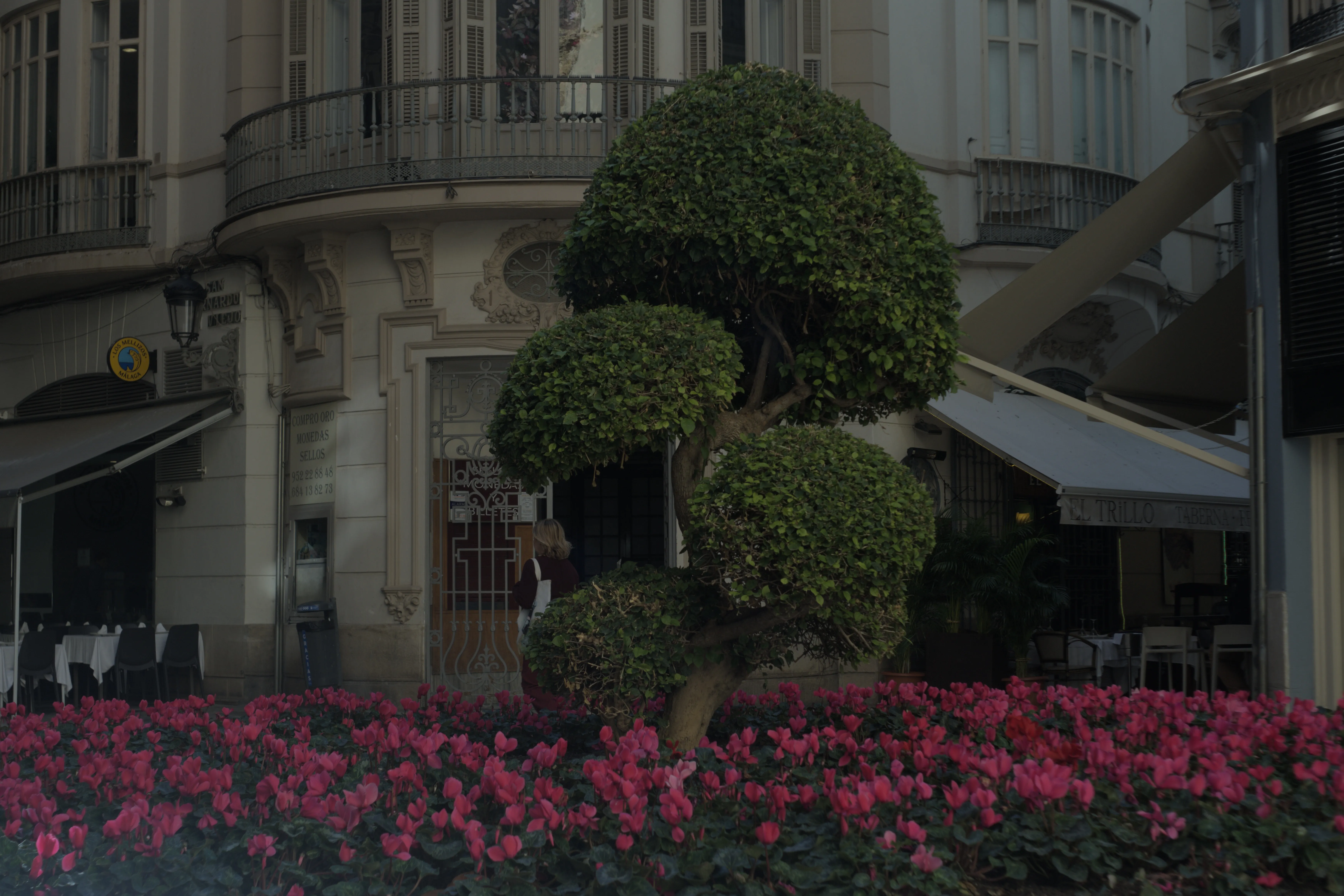 Zenith Helios-77M-4 1,850 (VOMZ) - _I4A5884.webp